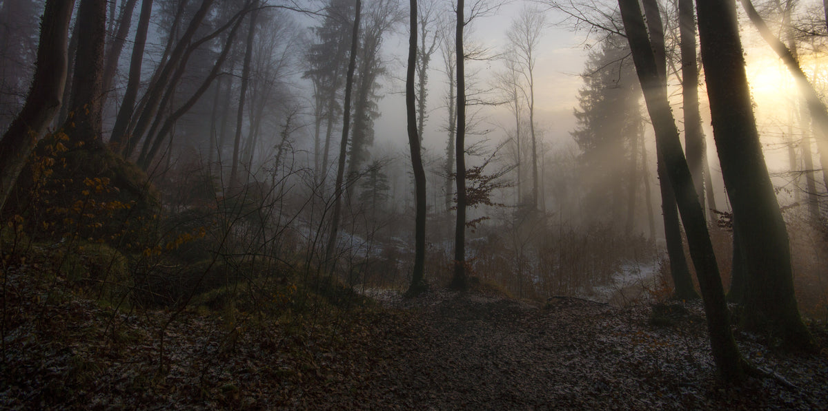 acrylic-print-winters-slight-return