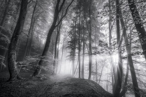 aluminium-print-a-morning