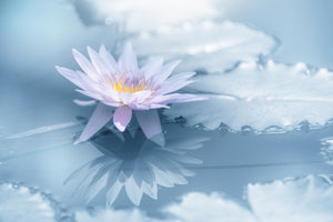 aluminium-print-reflection-xbu