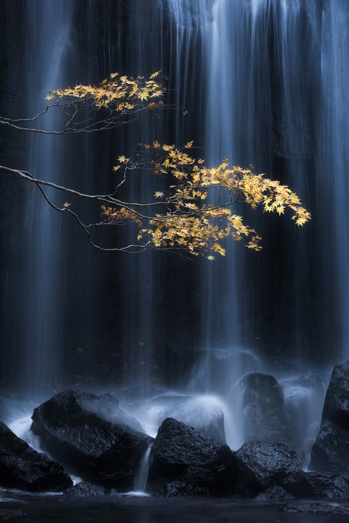 framedposter-print-yellow-autumn