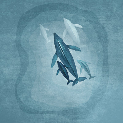 poster-print-whale-serenade