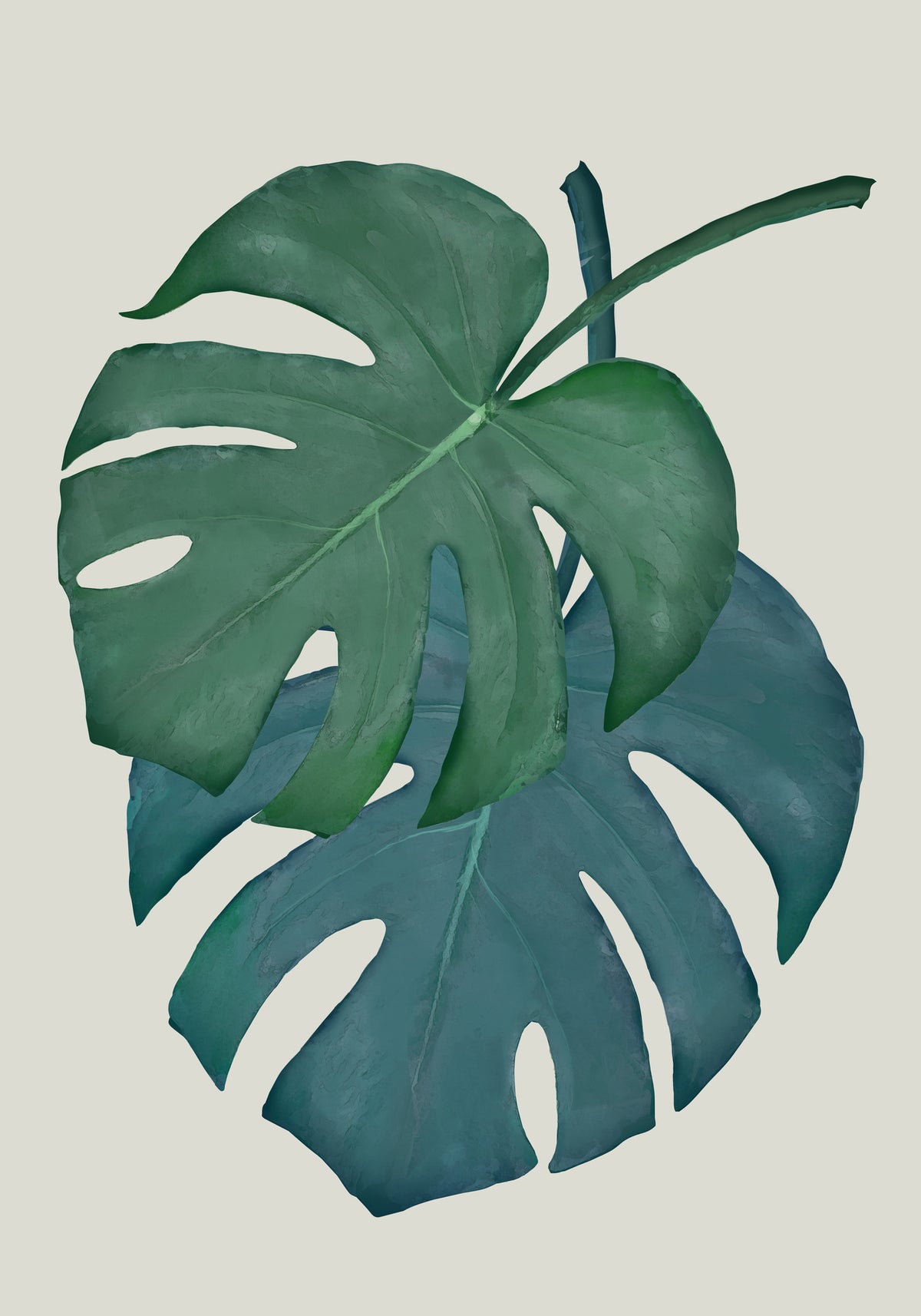 poster-print-monstera-aqua-06