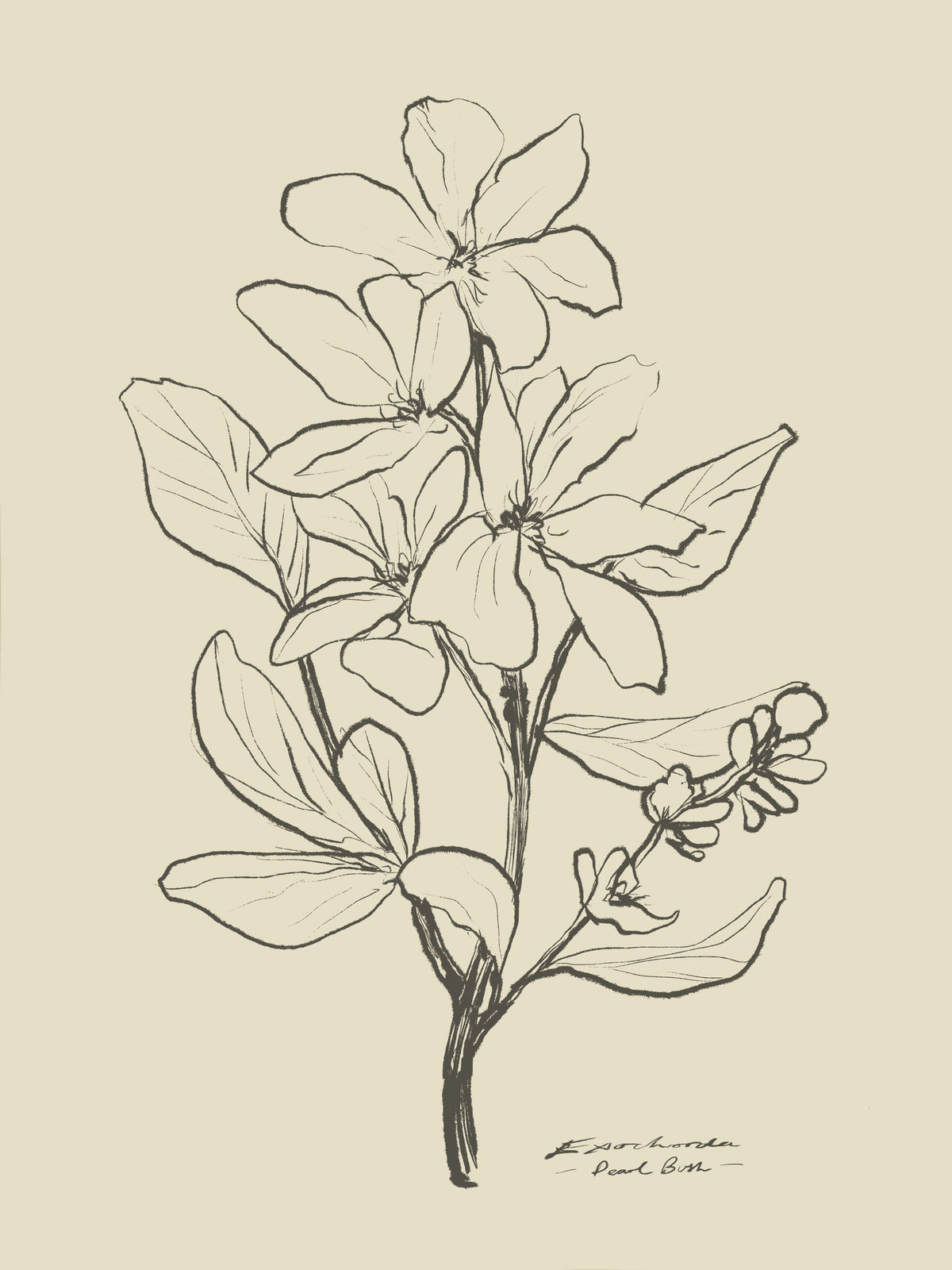 aluminium-print-floral-1