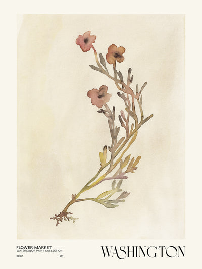 poster-print-watercolor-print-collection-flower-market-washington