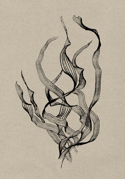 poster-print-delicate
