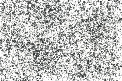 poster-print-monochrome-speckles