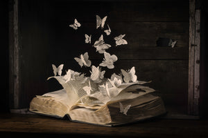 framedcanvas-print-lepidopterology