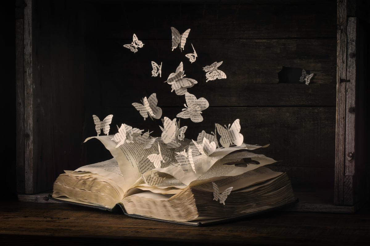 framedcanvas-print-lepidopterology