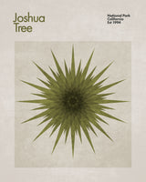 canvas-print-starburst-flora