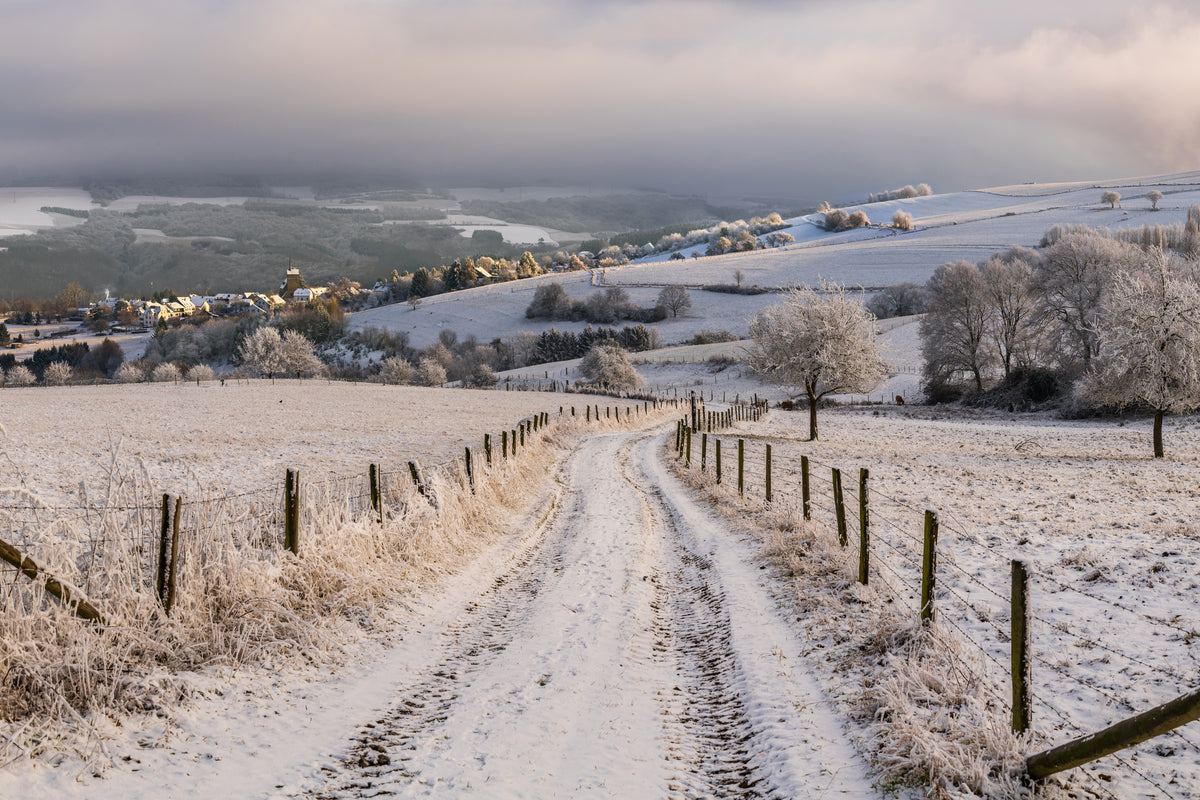 3-piece-canvas-print-winter-wonderland