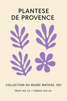 acrylic-print-plantesematisse