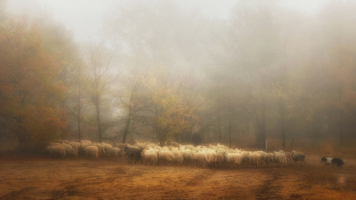 poster-print-foggy-memory-from-the-past