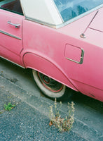 acrylic-print-new-orleans-ride-x