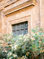 framedcanvas-print-botanical-trastevere-rome