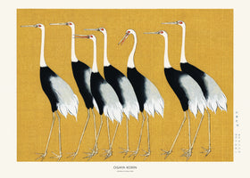 aluminium-print-japanese-red-crown-crane-2