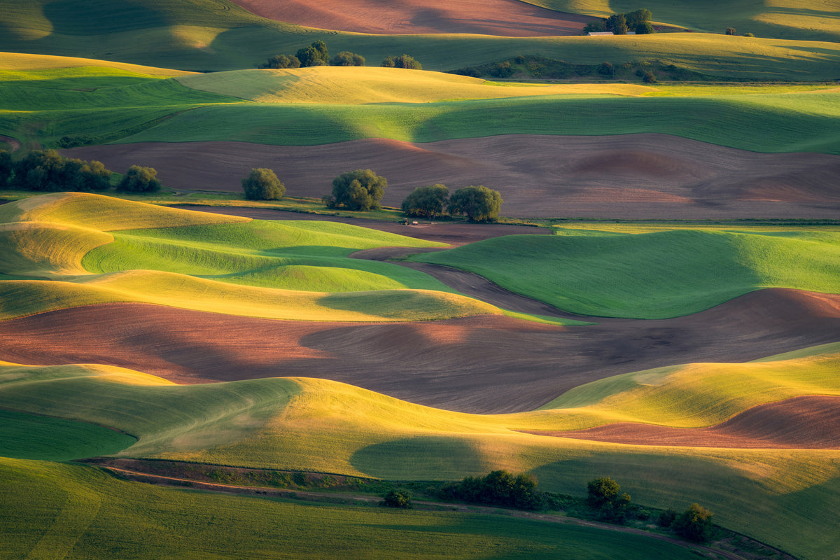canvas-print-colorful-palouse-x