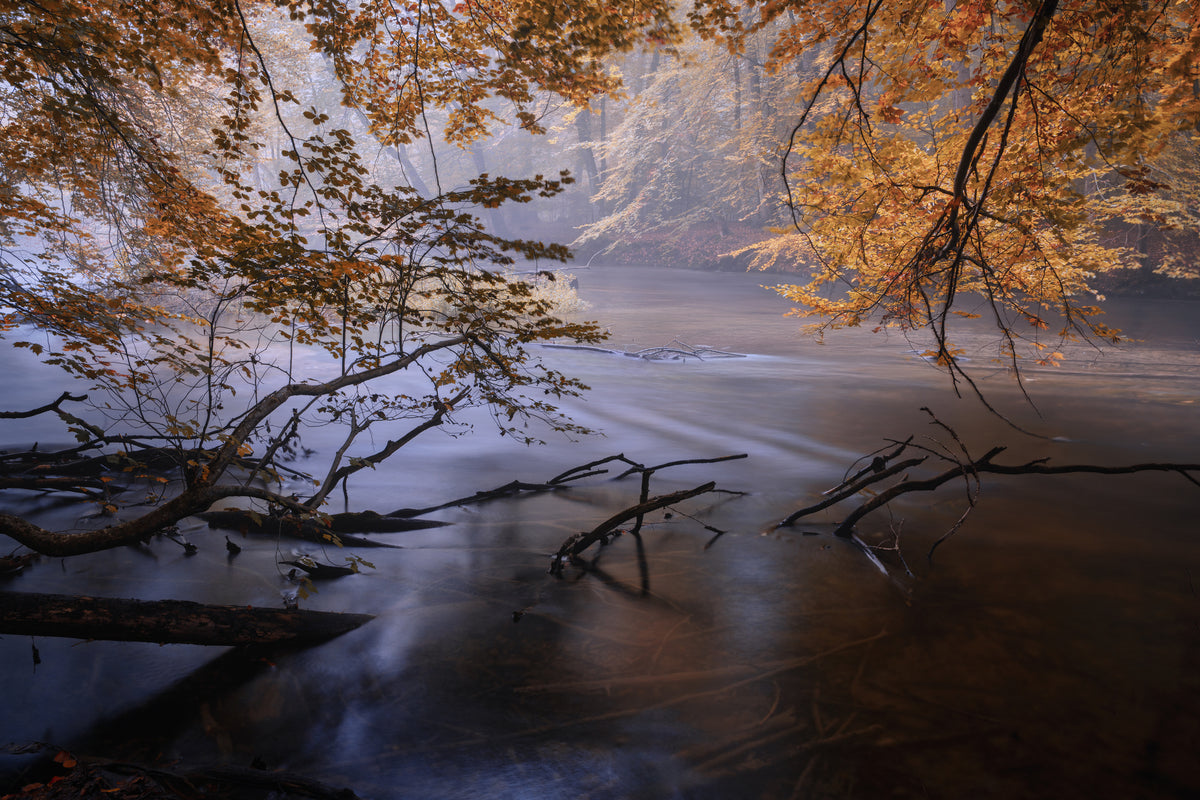 modern-3-piece-acrylic-print-autumn-river