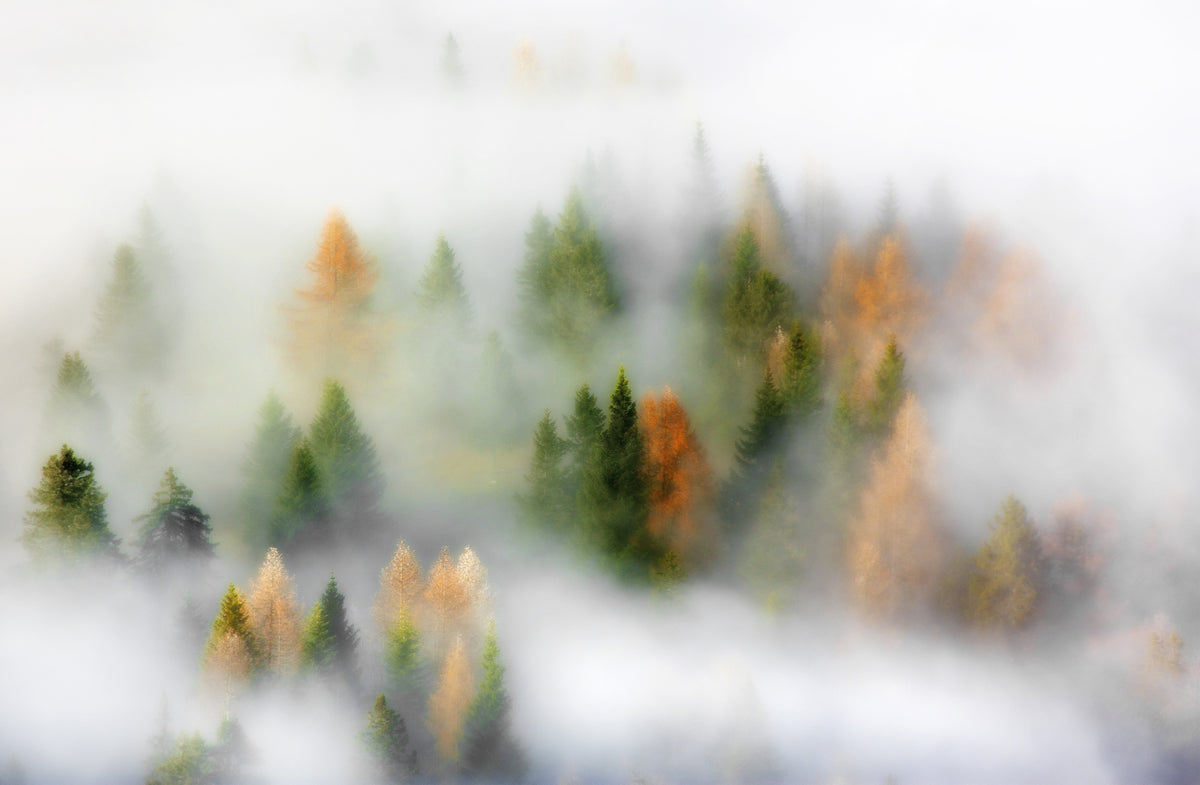 modern-3-piece-canvas-print-autumn-dream-2