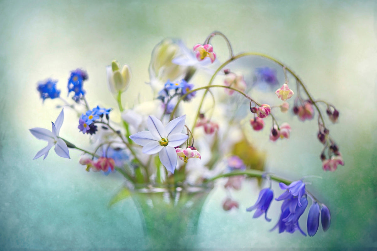 canvas-print-spring-treasures-x