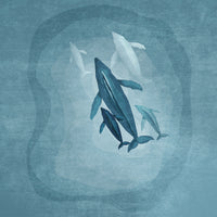 aluminium-print-whale-serenade