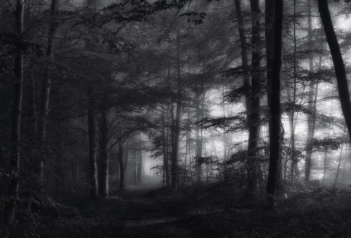 aluminium-print-solitary