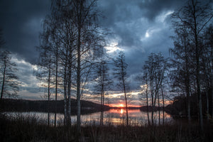 3-piece-canvas-print-trees-at-the-lake