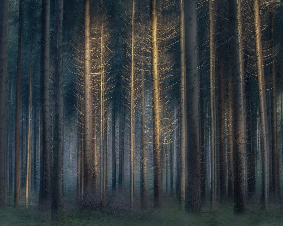 acrylic-print-in-the-afternoon