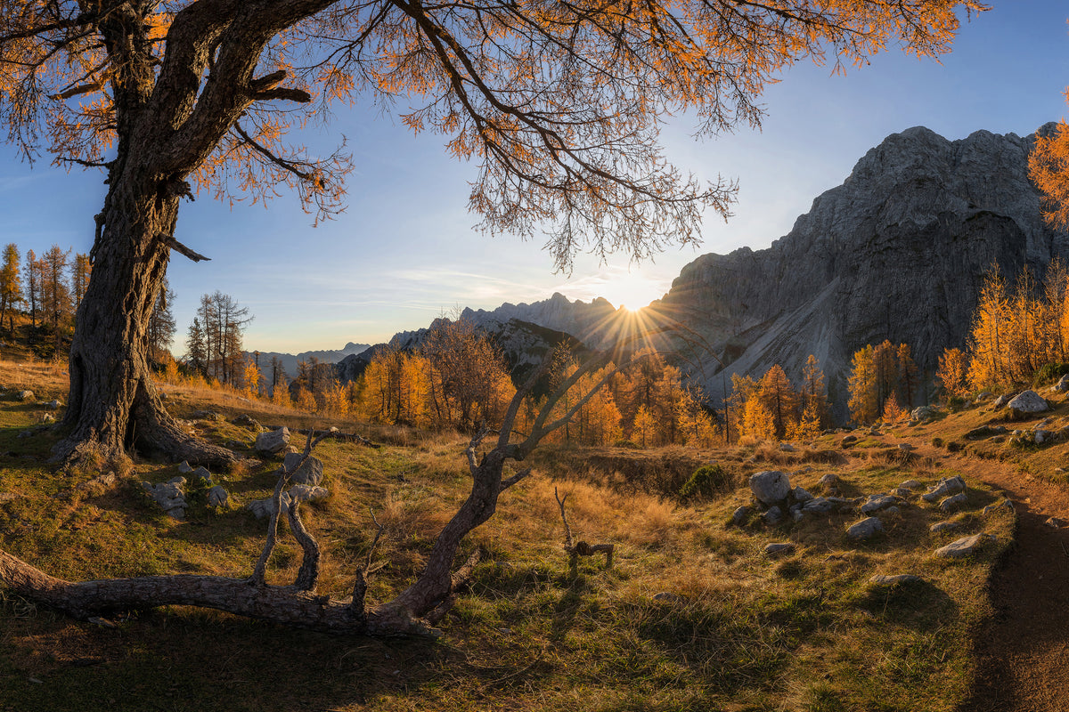 aluminium-print-autumn-paradise-x