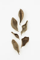 framedposter-print-dried-leaves-2