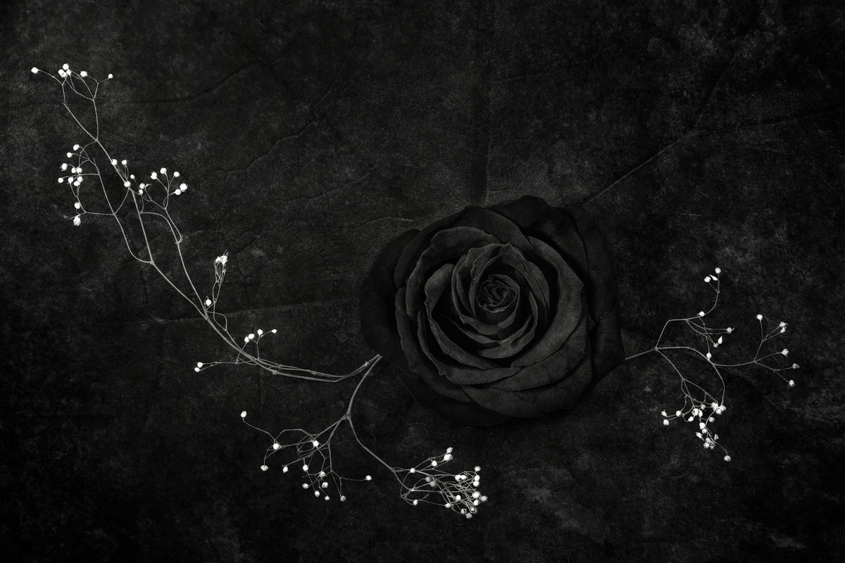 aluminium-print-rose-noire