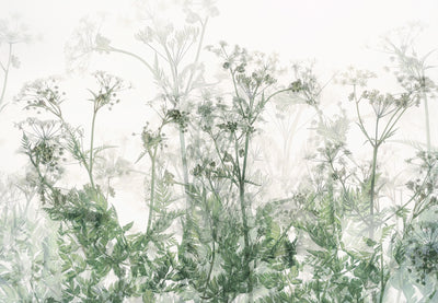 poster-print-morning-atmosphere