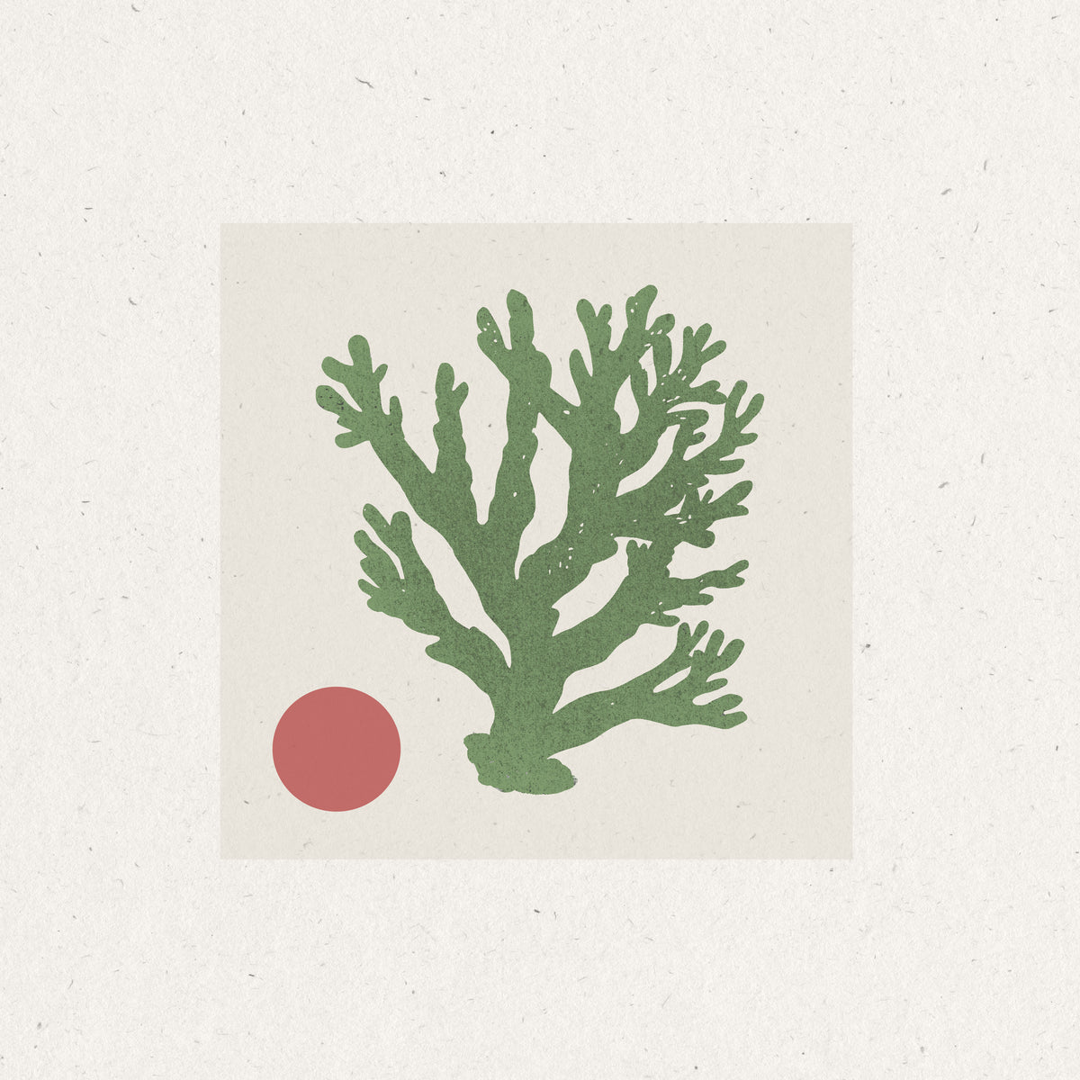 acrylic-print-coral-and-sun