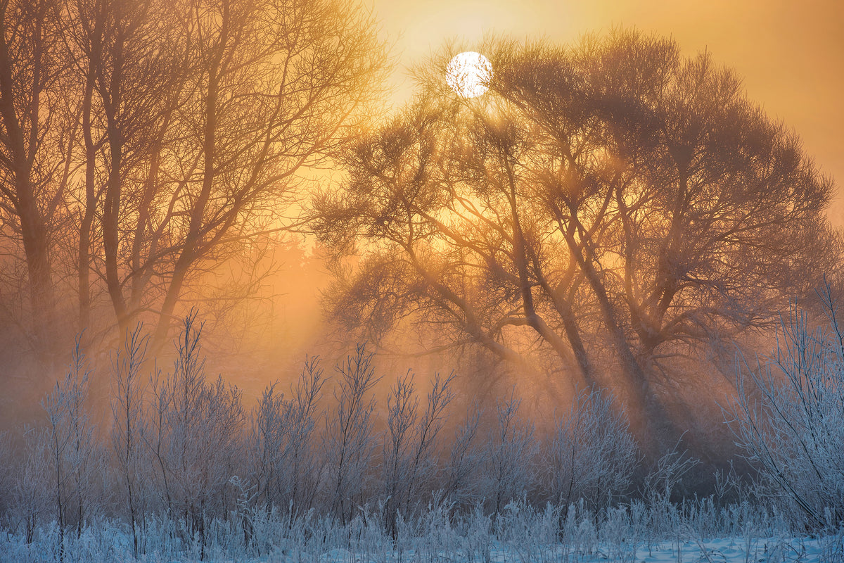 acrylic-print-warm-and-cold-x