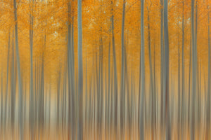 3-piece-canvas-print-autumn-delight-ii
