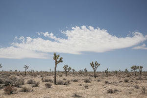 modern-3-piece-aluminium-print-beauty-of-a-desert-landscape