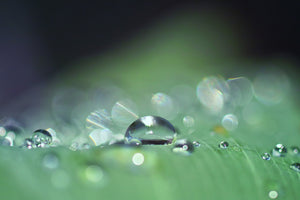 3-piece-canvas-print-drops-of-water-in-xxl
