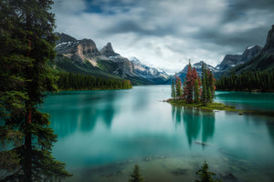 canvas-print-spirit-island-x