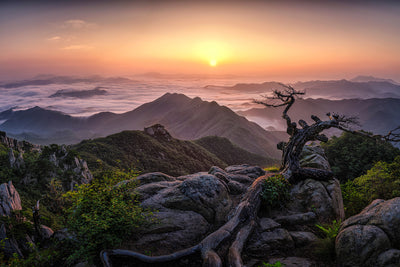 poster-print-sunrise-on-top-x