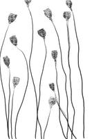 aluminium-print-minimal-line-plant