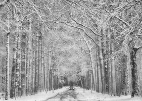modern-4-piece-canvas-print-winter-mood-2