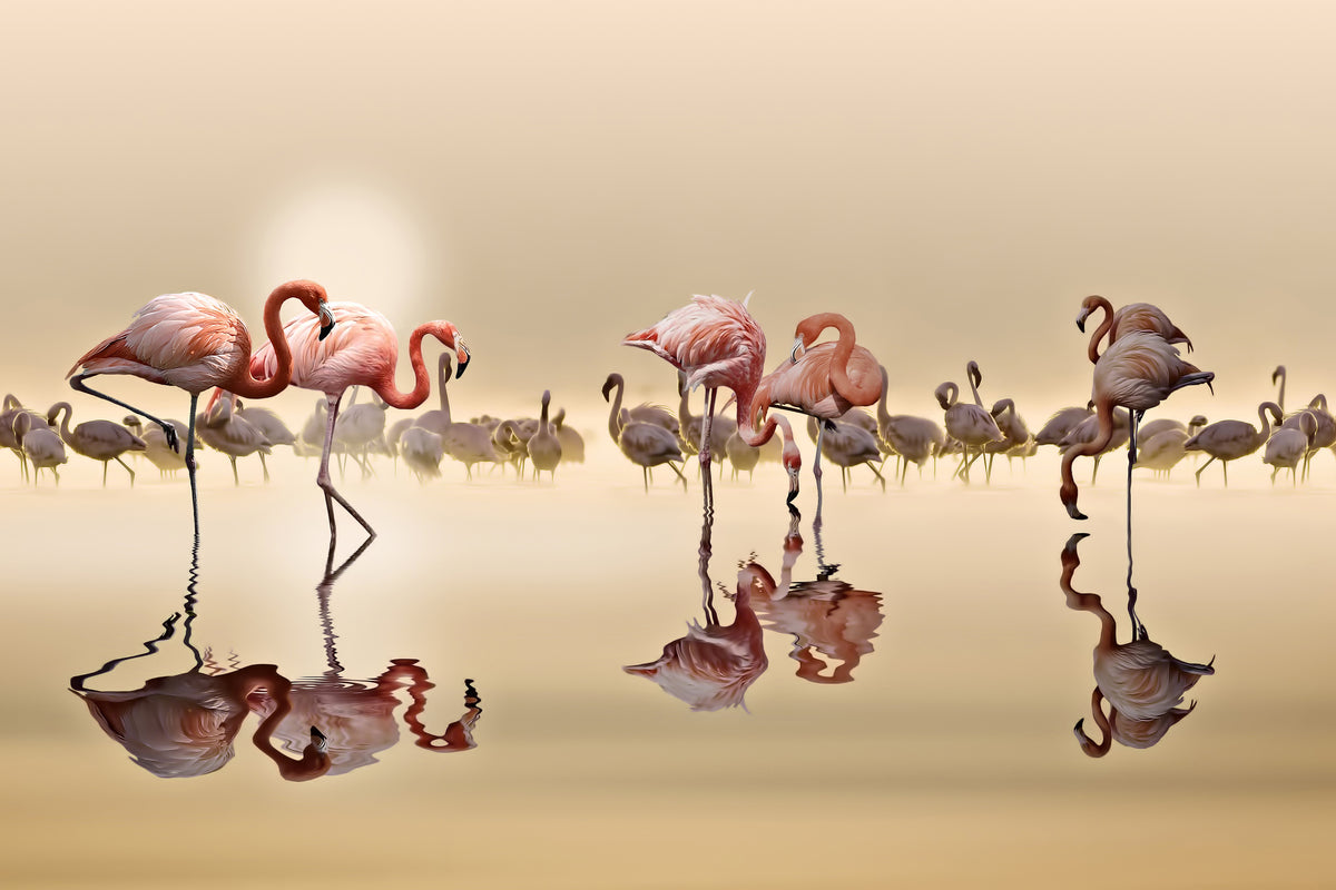 canvas-print-flamingos-x