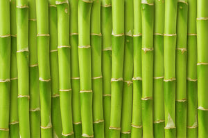 framedcanvas-print-bamboo-wall