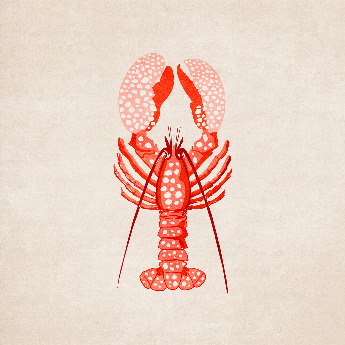 canvas-print-spotted-lobster-elegance