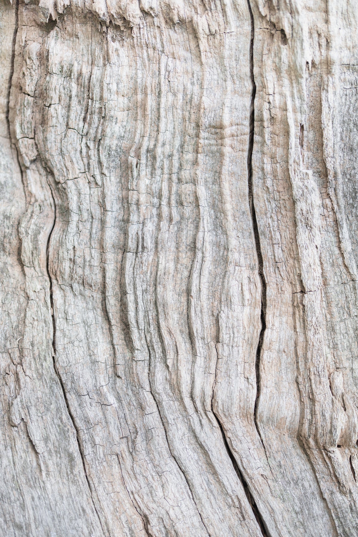aluminium-print-wood-pattern