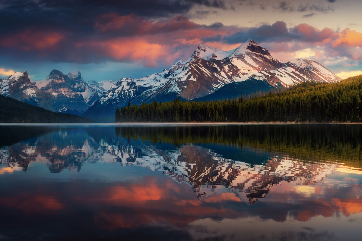 framedposter-print-maligne-color-x