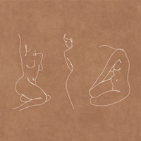 acrylic-print-lines-of-elegance