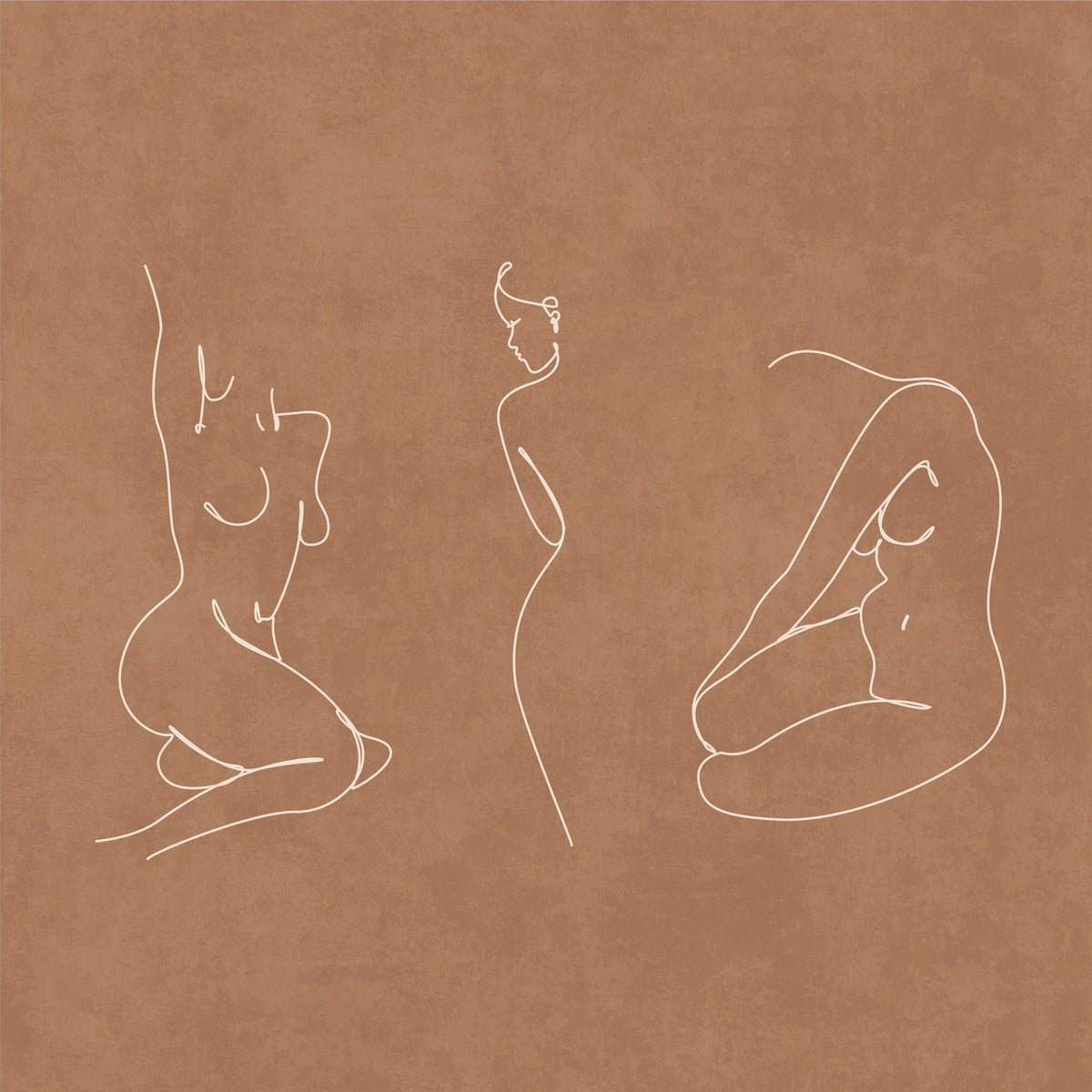 acrylic-print-lines-of-elegance