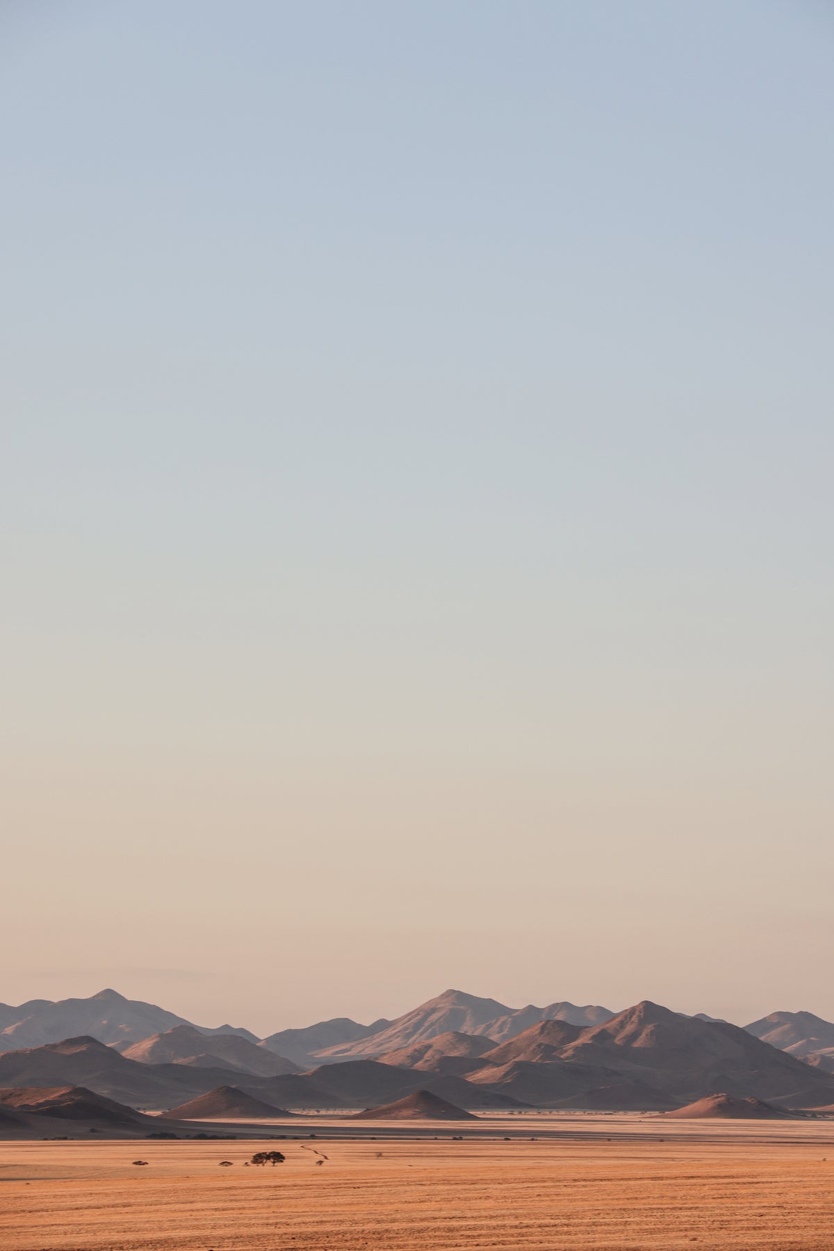 canvas-print-desert-dawn-vista