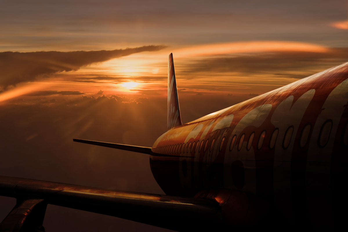 canvas-print-out-of-the-flight