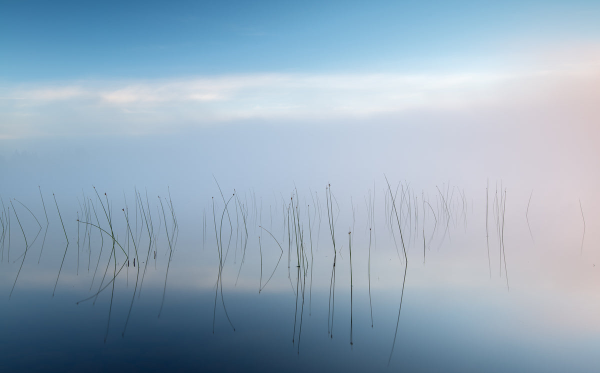 3-piece-canvas-print-reeds-by-the-lake